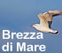 Brezza di Mare Appartamenti